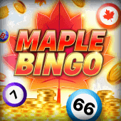 Bingo de Arce game cover